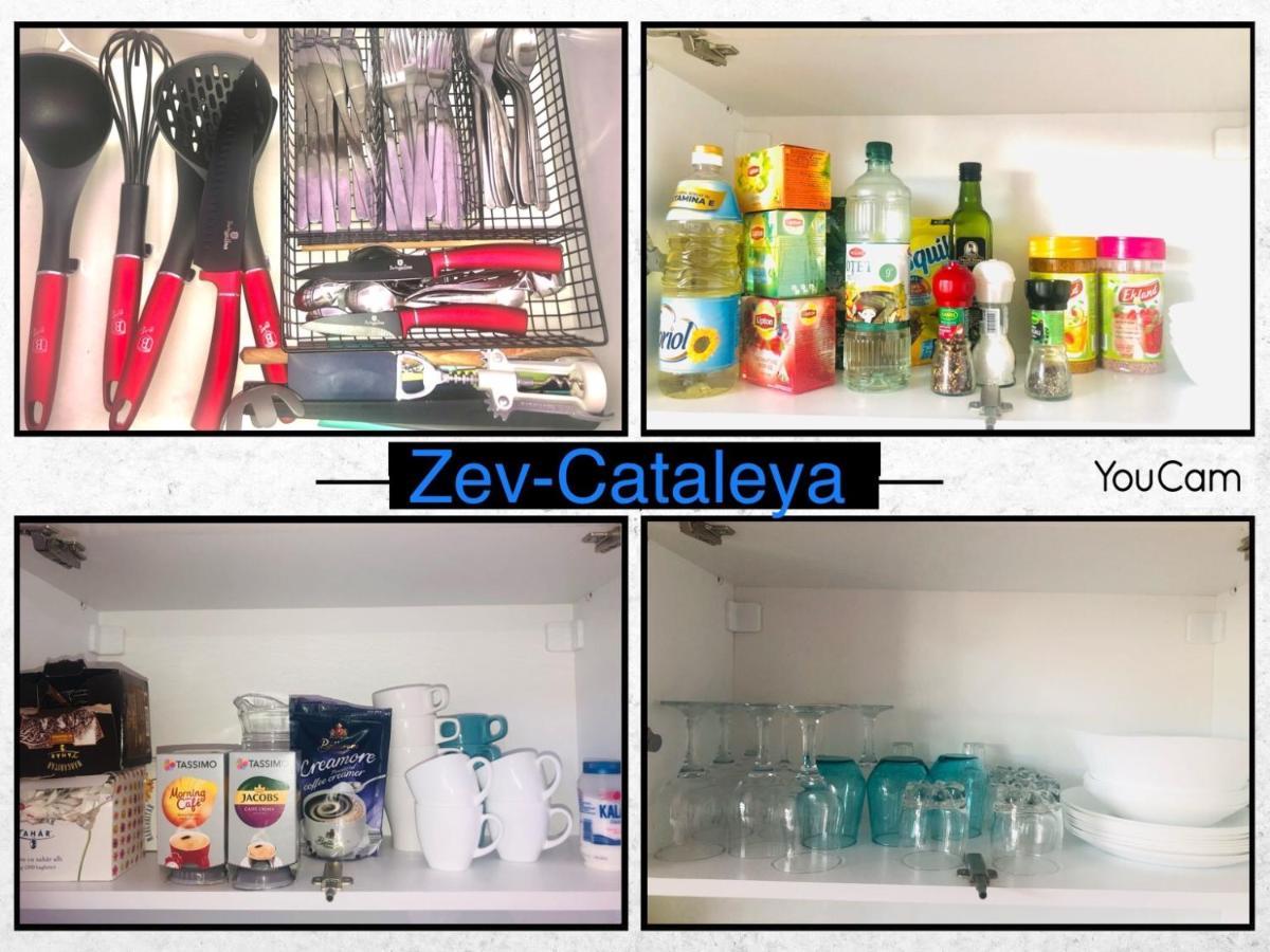 דירות Năvodari Zev- Cataleya Mamaia Nord מראה חיצוני תמונה